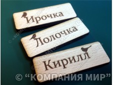Бейджи пластиковые